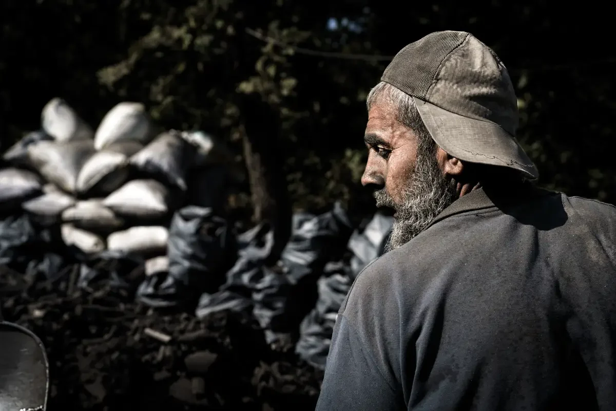 Torakçı (12)